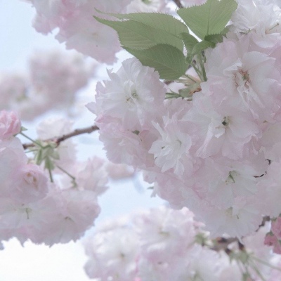 全南FurryQQ群介绍